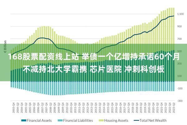 168股票配资线上站 举债一个亿增持承诺60个月不减持北大学霸携 芯片医院 冲刺科创板
