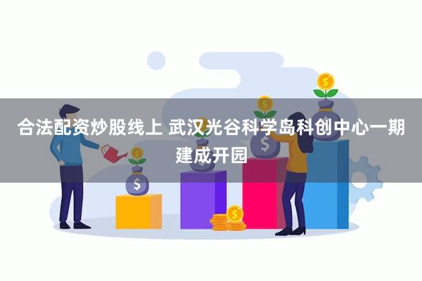 合法配资炒股线上 武汉光谷科学岛科创中心一期建成开园