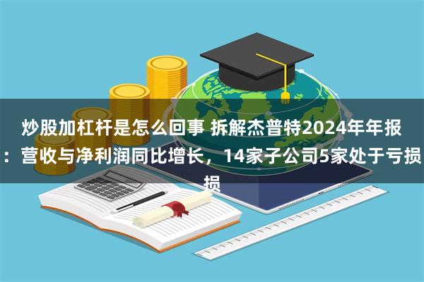炒股加杠杆是怎么回事 拆解杰普特2024年年报：营收与净利润同比增长，14家子公司5家处于亏损