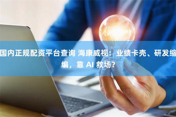 国内正规配资平台查询 海康威视：业绩卡壳、研发缩编，靠 AI 救场？