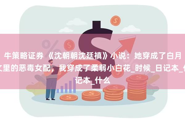 牛策略证券 《沈朝朝沈廷禛》小说：她穿成了白月光文里的恶毒女配，我穿成了柔弱小白花_时候_日记本_什么