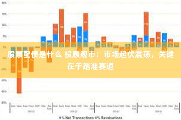 股票配债是什么 投顾观市：市场起伏震荡，关键在于踏准赛道