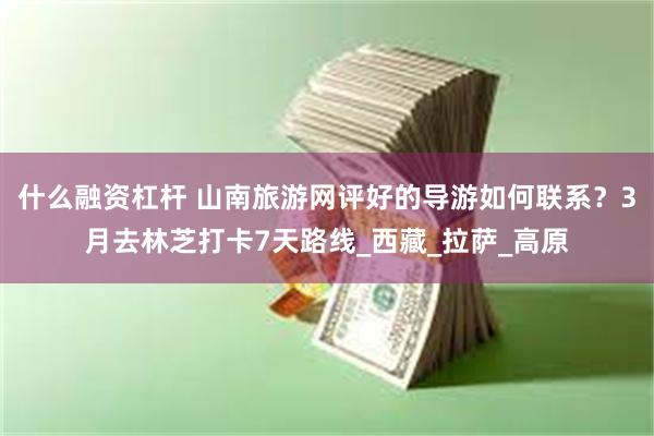 什么融资杠杆 山南旅游网评好的导游如何联系？3月去林芝打卡7天路线_西藏_拉萨_高原
