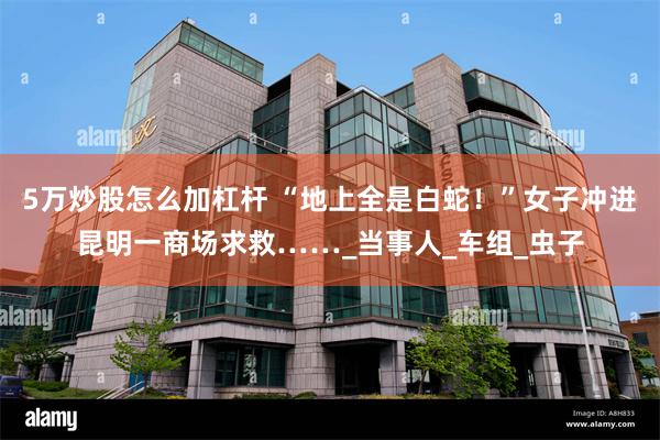 5万炒股怎么加杠杆 “地上全是白蛇！”女子冲进昆明一商场求救……_当事人_车组_虫子