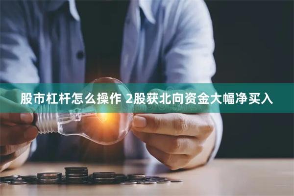 股市杠杆怎么操作 2股获北向资金大幅净买入