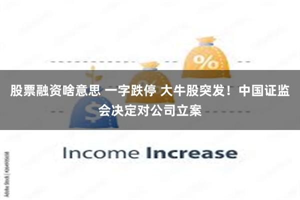 股票融资啥意思 一字跌停 大牛股突发！中国证监会决定对公司立案