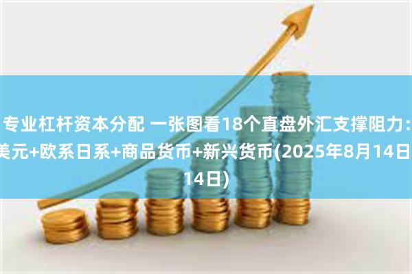 专业杠杆资本分配 一张图看18个直盘外汇支撑阻力：美元+欧系日系+商品货币+新兴货币(2025年8月14日)