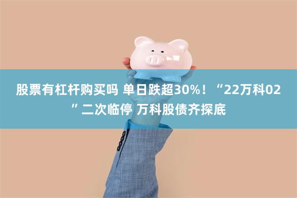 股票有杠杆购买吗 单日跌超30%!“22万科02”二次临停 万科股债齐探底