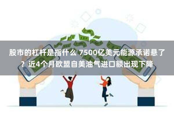 股市的杠杆是指什么 7500亿美元能源承诺悬了?近4个月欧盟自美油气进口额出现下降