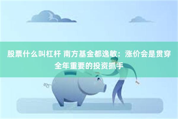 股票什么叫杠杆 南方基金都逸敏：涨价会是贯穿全年重要的投资抓手